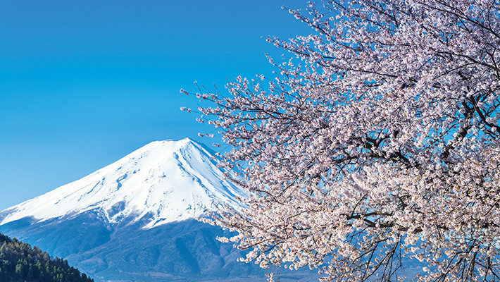 710x400_japan.jpg